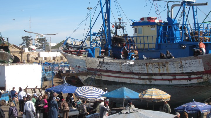 Port with little fish market in front