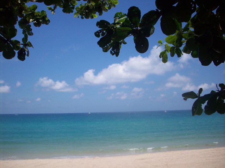 How I would like to spend my days...