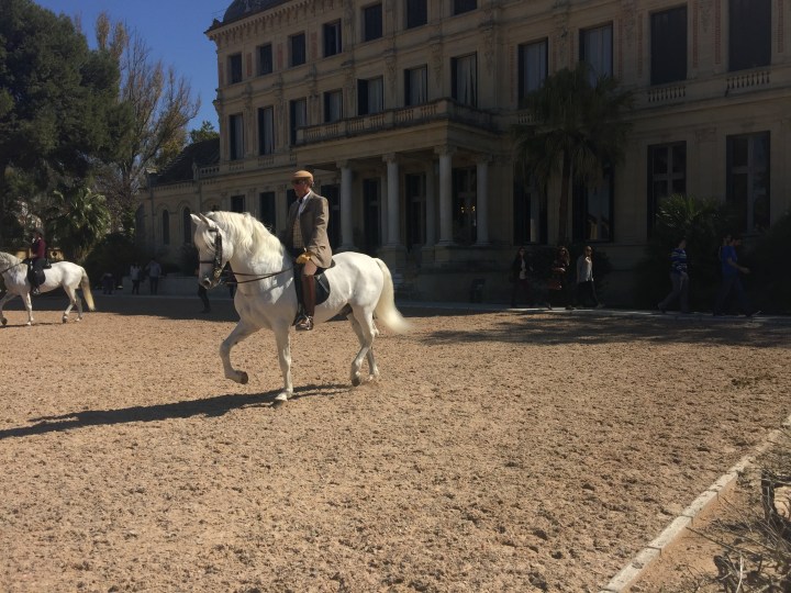 Practicing in the school grounds