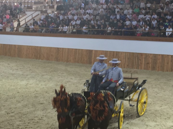 The horse and carriage section. sarah's useless fact of the day: Carriages orionated in Hungary from a town called Kocs.  This was the origin of the Spanish word 'coche' (meaning car) and from that we get the English word 'coach'.