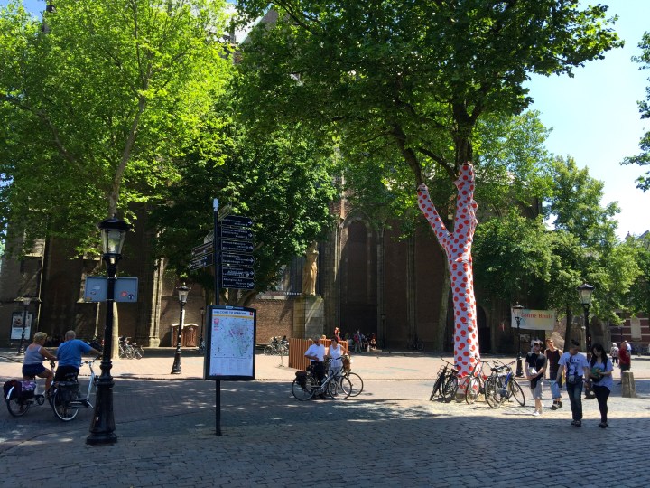 Even the trees were getting excited about the Tour de France