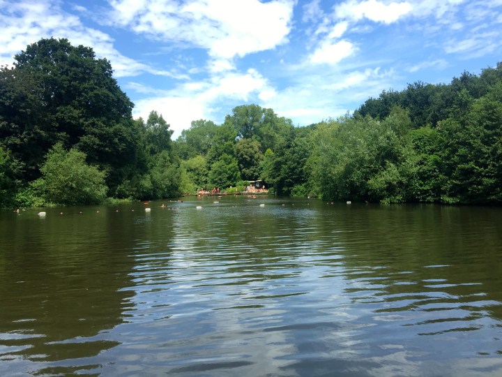 Spent an enjoyable day in the bathing pond at Hampstead Heath, but the water was FREEZING.