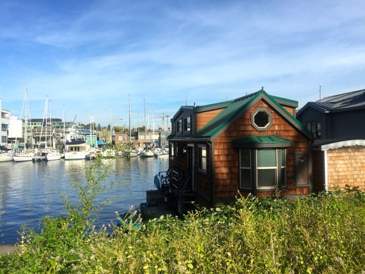 Someone tried to point out which of these houseboats featured in the movie Sleepless in Seattle, but I couldn't get which one they were pointing at.  I've never seen the movie (I hate rom-coms) but might mean something to some of you