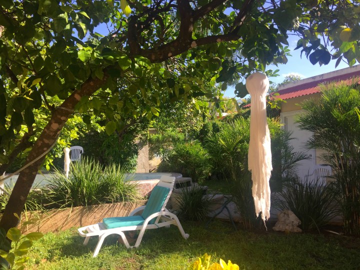 Garden at my hostel, all decked out for halloween/day of the dead