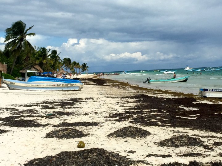 The last photo I took in Mexico, on Tulum beach.