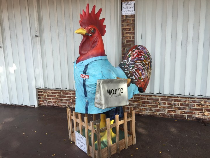 Roosters are considered lucky. There are many roosters on the street.