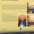 IMG_0571
