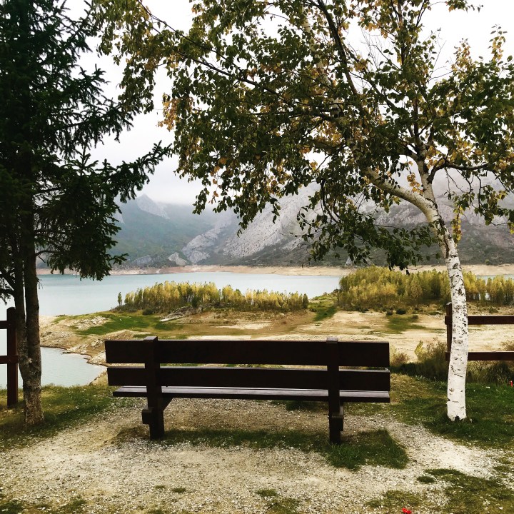 B469FE2D-CC21-4AD1-B53E-60B21B9598C0